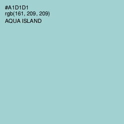 #A1D1D1 - Aqua Island Color Image